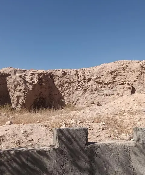 قلعه تاریخی الویر، مرکزی