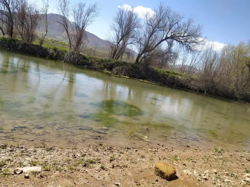 روستای ورچه - تصویر 3