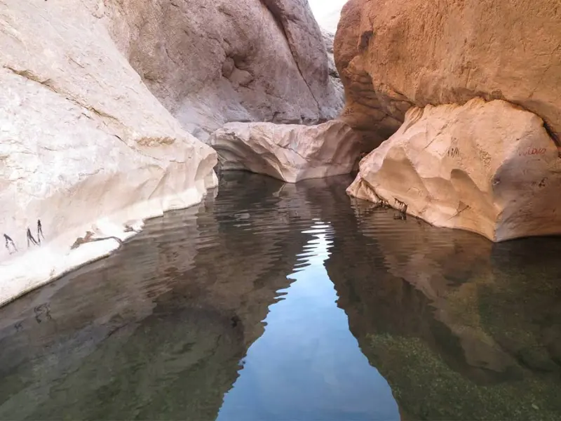 تخت عروس - تصویر 6