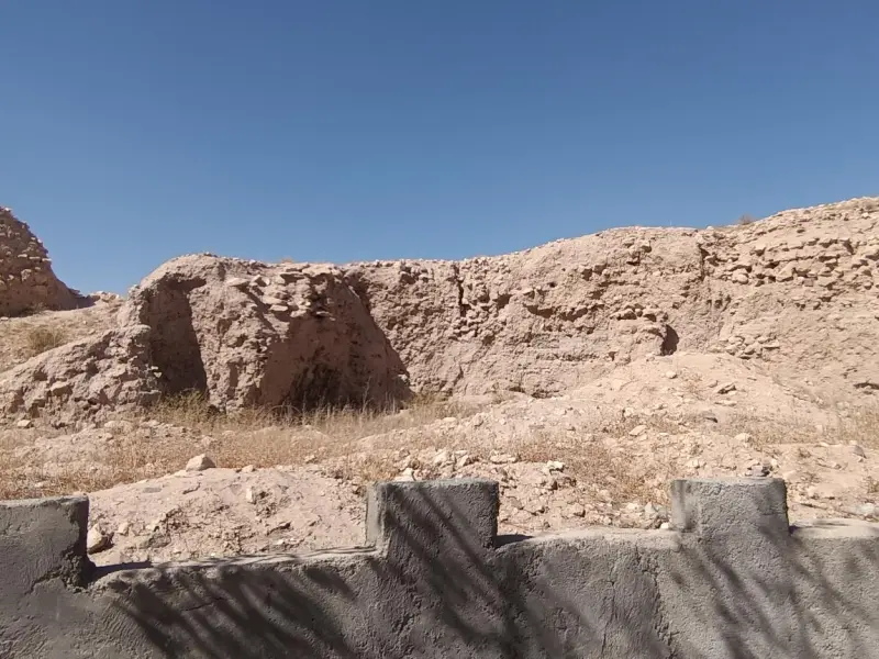 قلعه تاریخی الویر