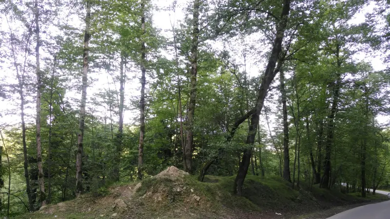پارک جنگلی کشپل - تصویر 3