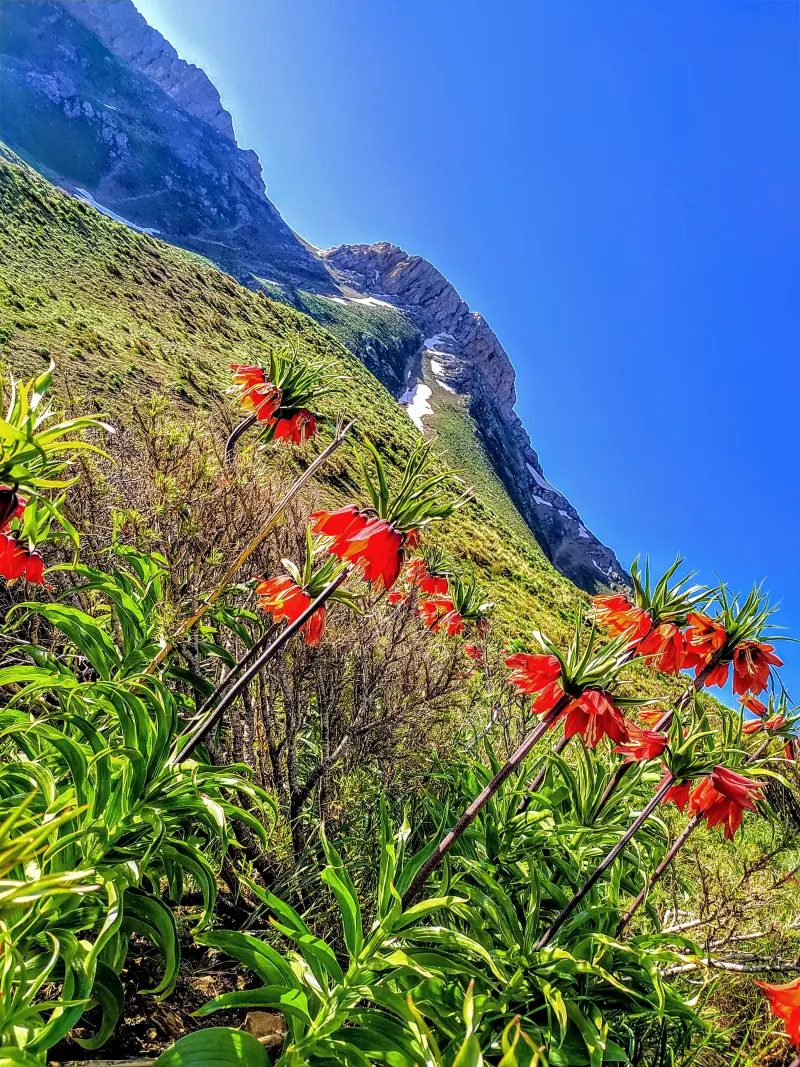 قله قلات شاه - تصویر 8