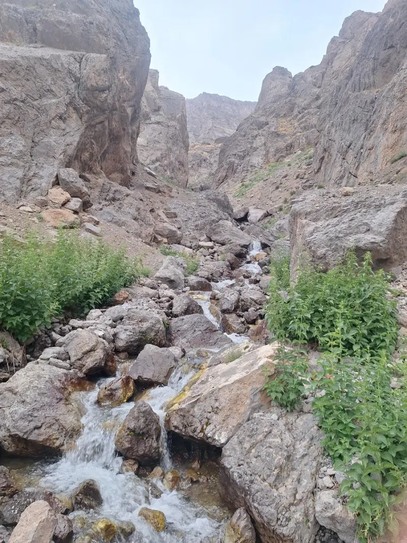 قله کول لگه - تصویر 3