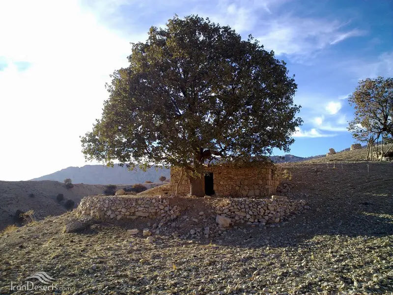تنگ ماغر - تصویر 3