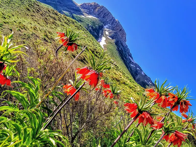قله قلات شاه - تصویر 8