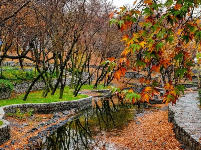 پارک وکیل‌آباد