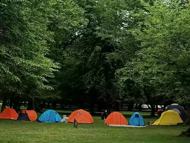 جنگل بلیران - تصویر 2