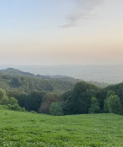 جنگل عطاکوه، گیلان
