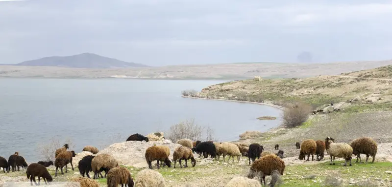 تالاب درگه سنگی - تصویر 2