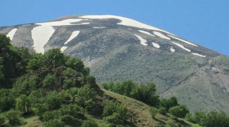 قالی کوه - تصویر 3