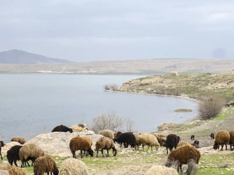 تالاب درگه سنگی - تصویر 2
