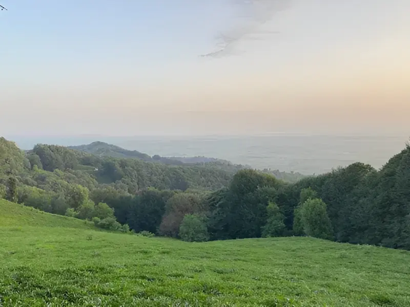 جنگل عطاکوه
