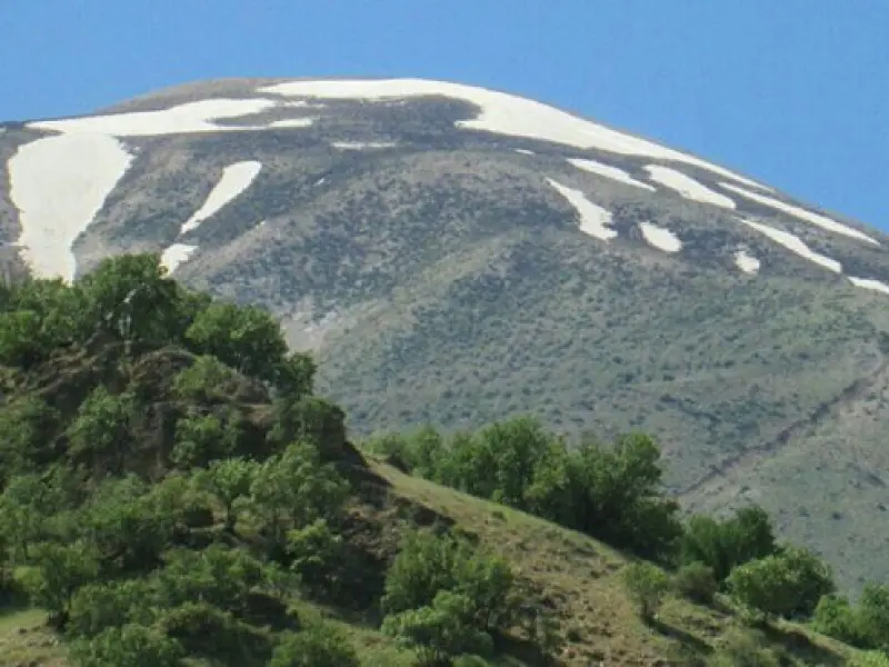 قالی کوه - تصویر 3