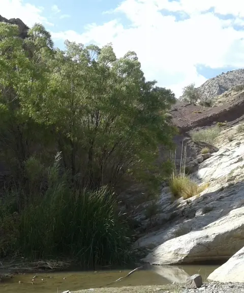 دره گلی هوک، کرمان