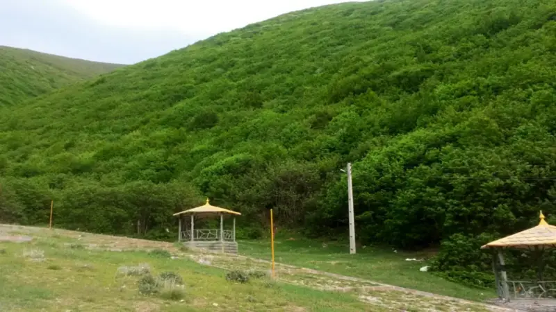 جنگل اندبیل - تصویر 4