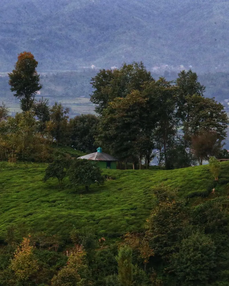 روستای آبچالکی - تصویر 2