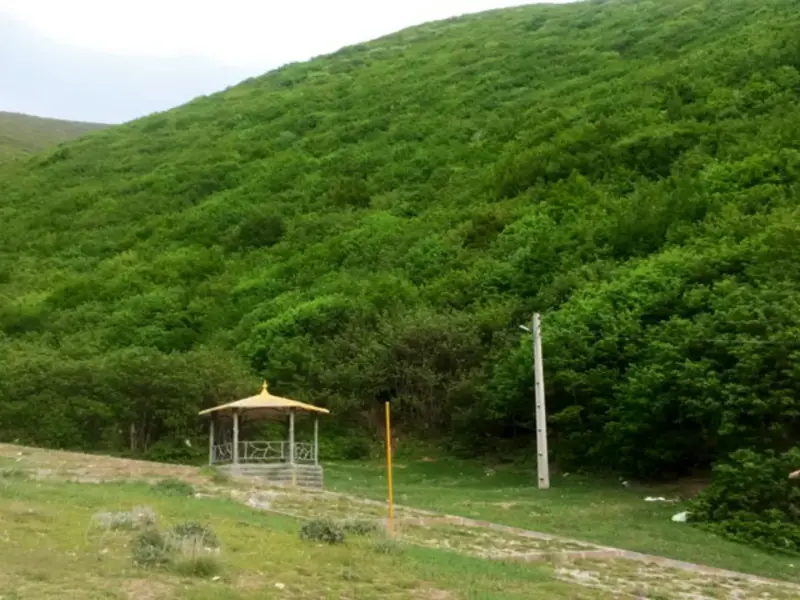 جنگل اندبیل - تصویر 4