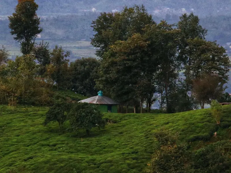 روستای آبچالکی - تصویر 2