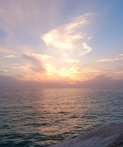 _