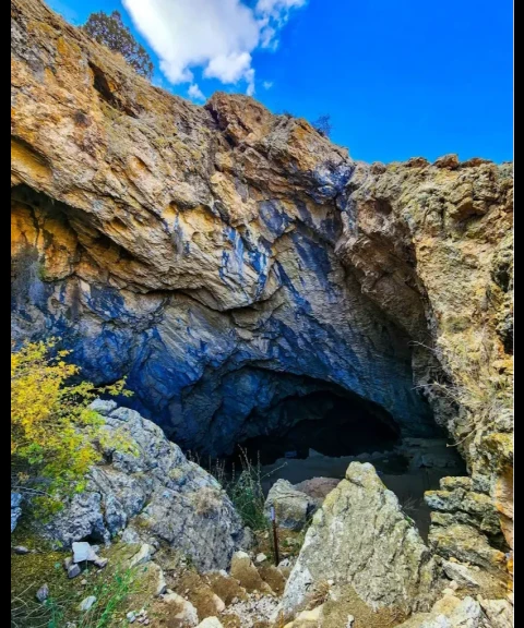 _