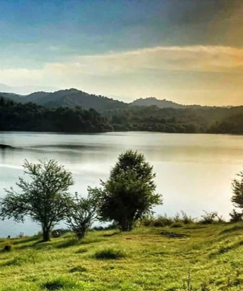 _