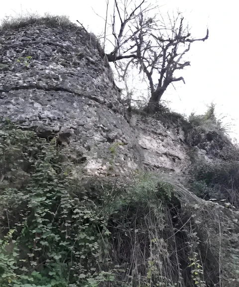 _