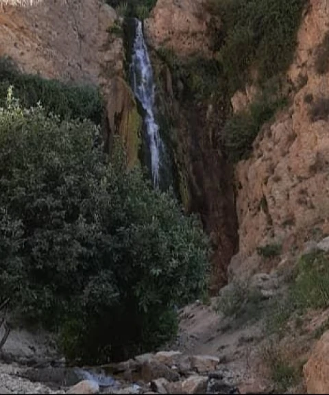 _