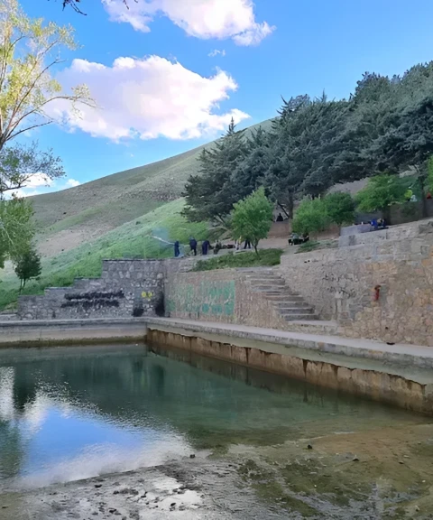 _