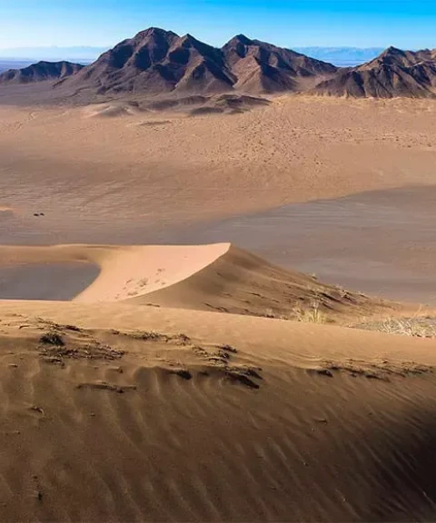 _