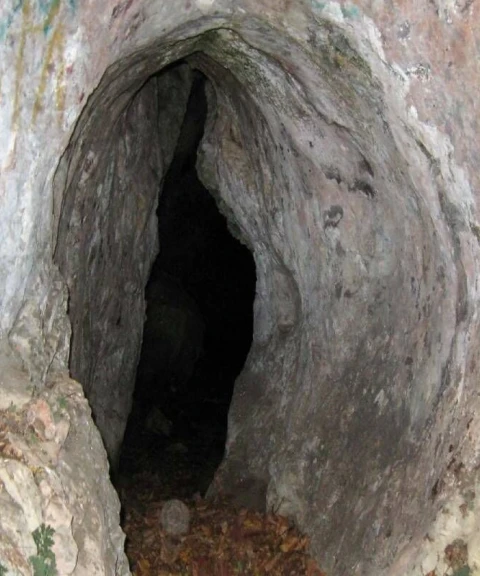 _