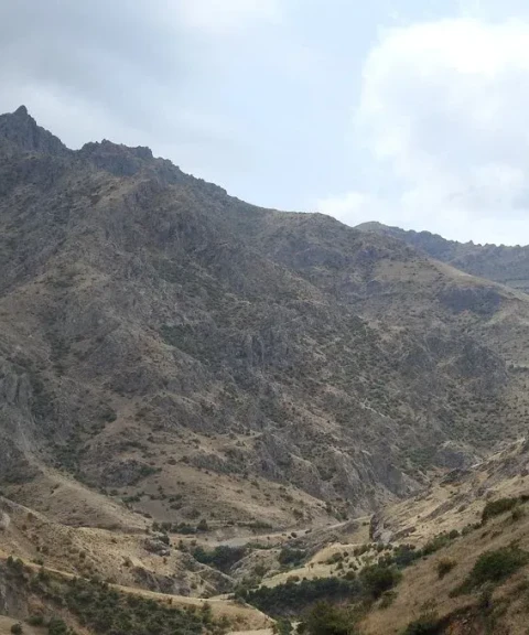 _