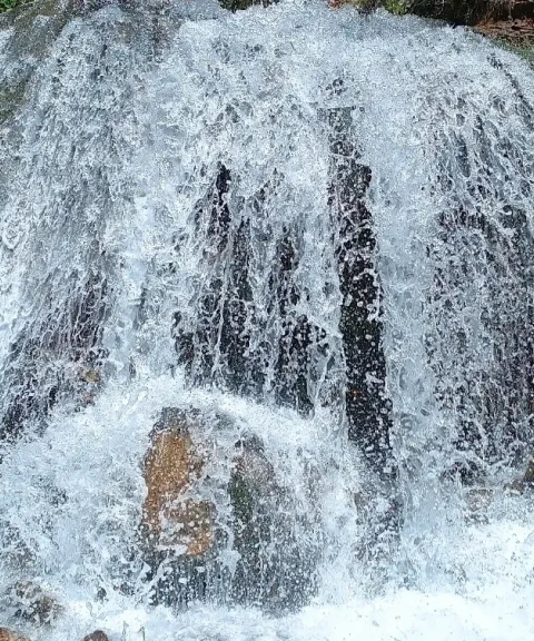 _