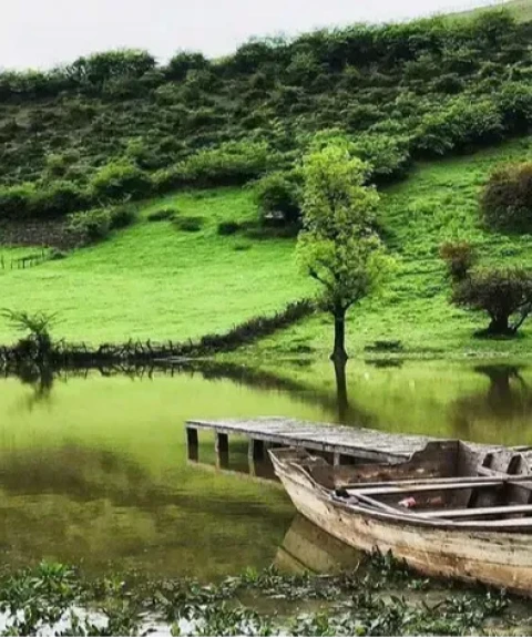 _