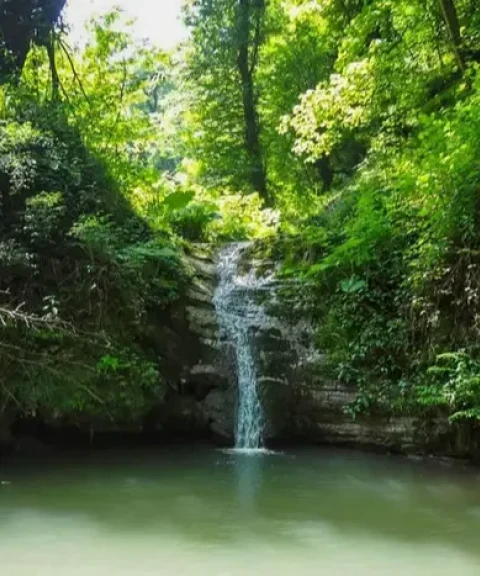 _