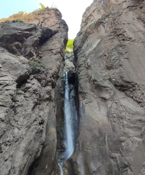 _