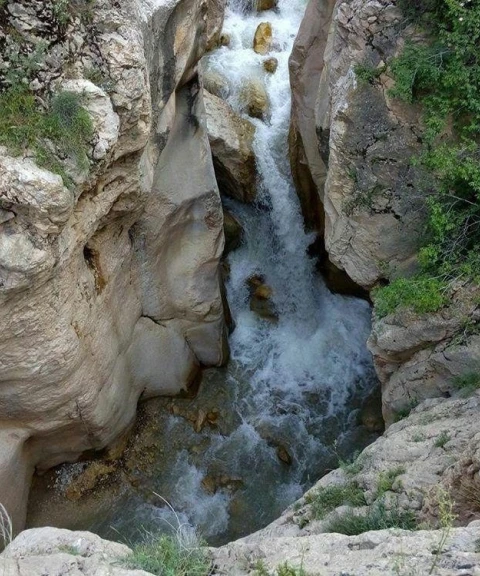 _
