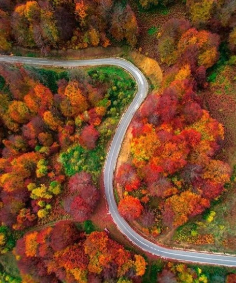 _