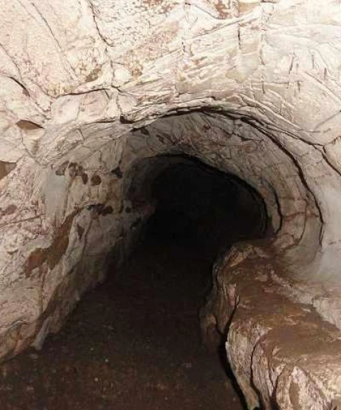 _