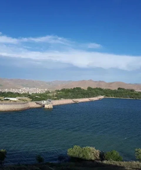_