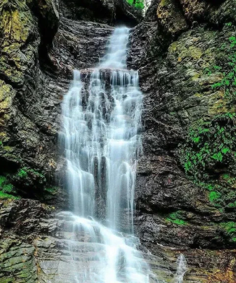 _