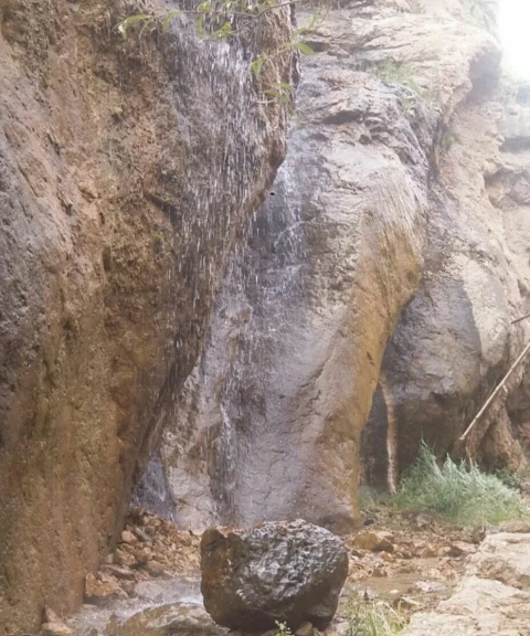 _