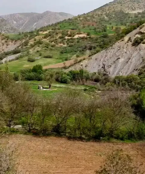 _
