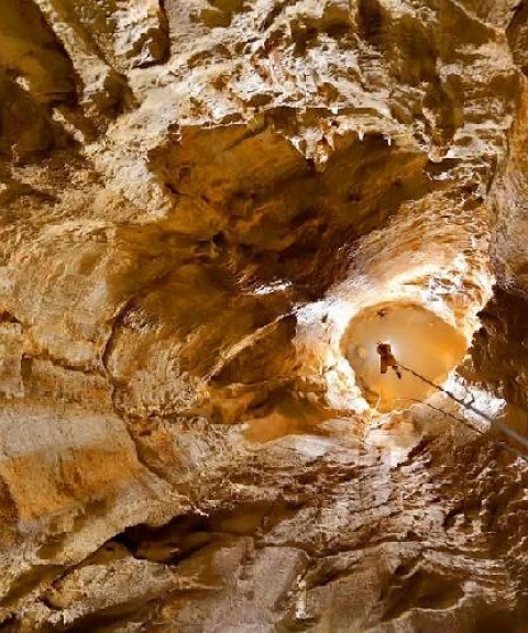 _