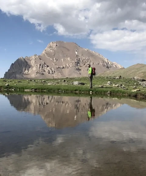 _