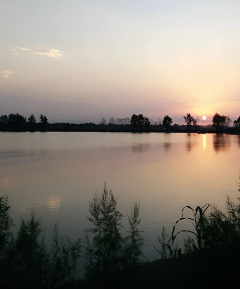 _