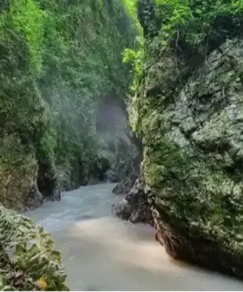 _