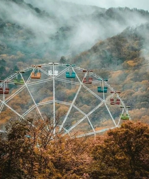 _