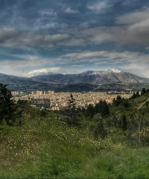 _