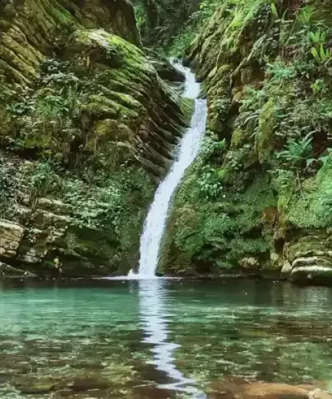_