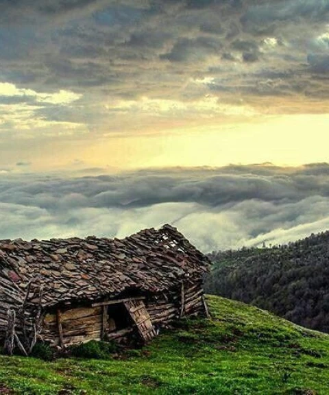 _